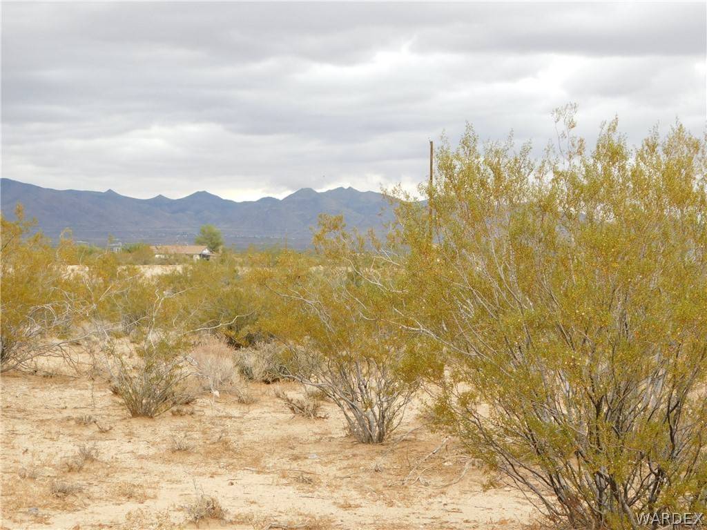 Golden Valley, AZ 86413,Lot 12 N Mormon Flat RD