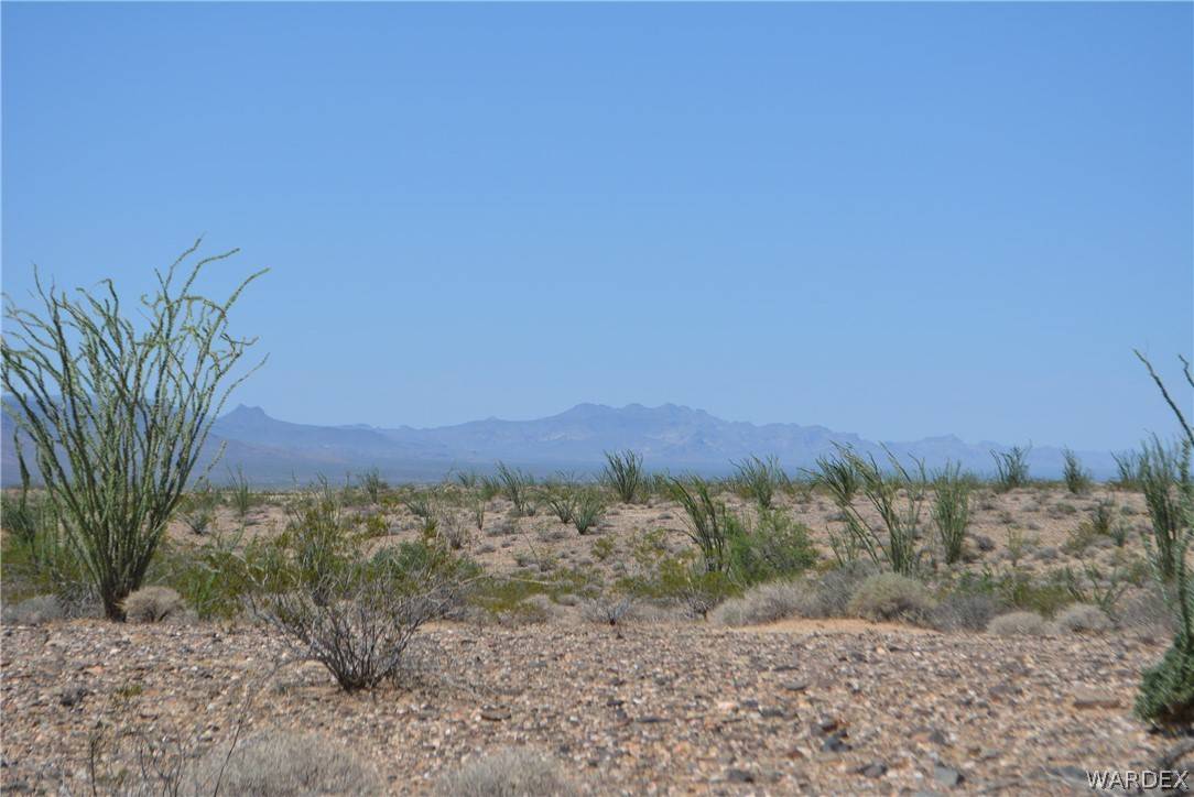 Yucca, AZ 86438,3007 S Alamo RD