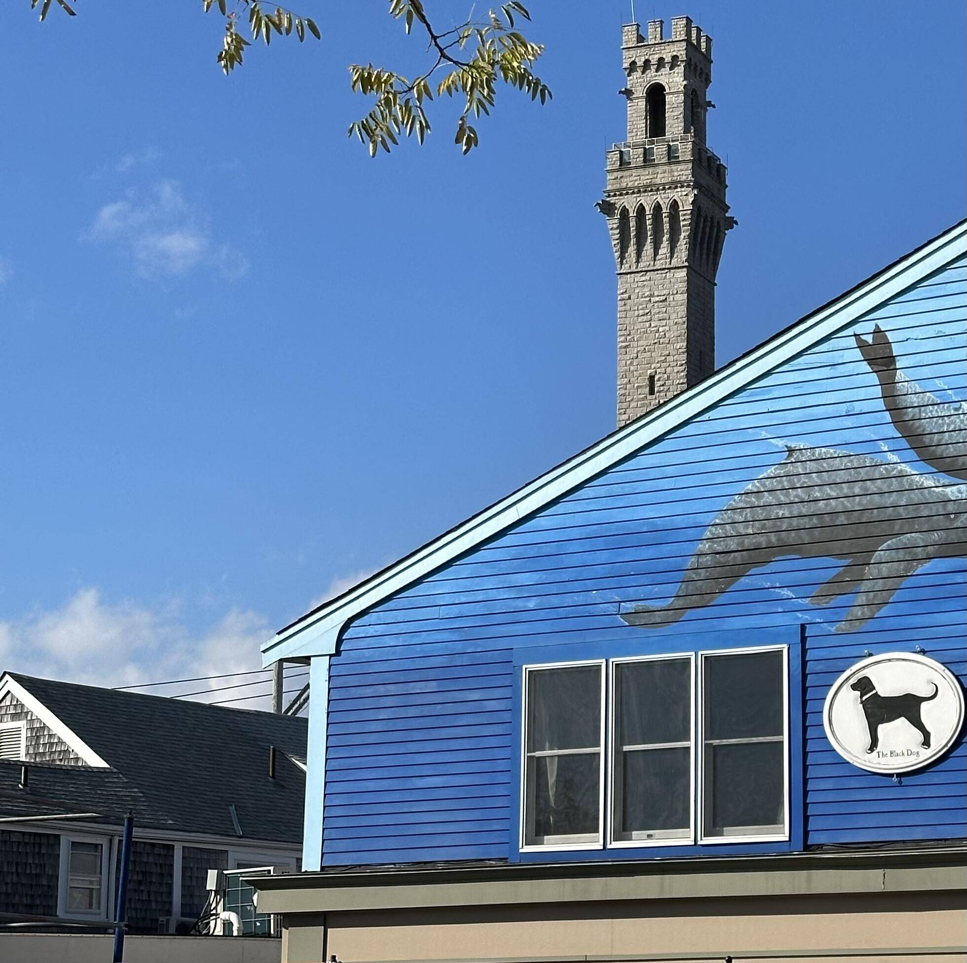 Provincetown, MA 02657,293 Commercial Street #U7