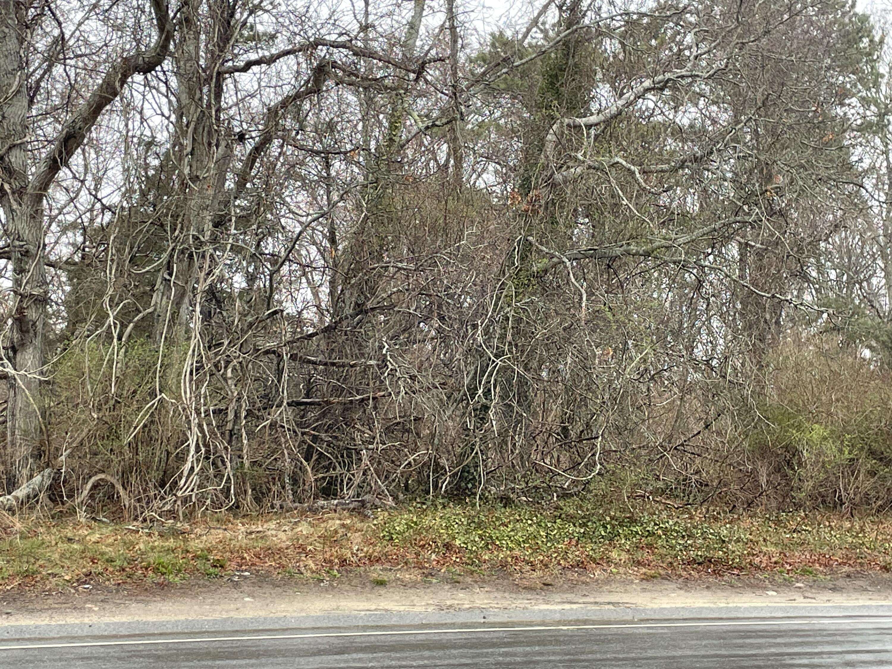Barnstable, MA 02630,230 Attucks Lane