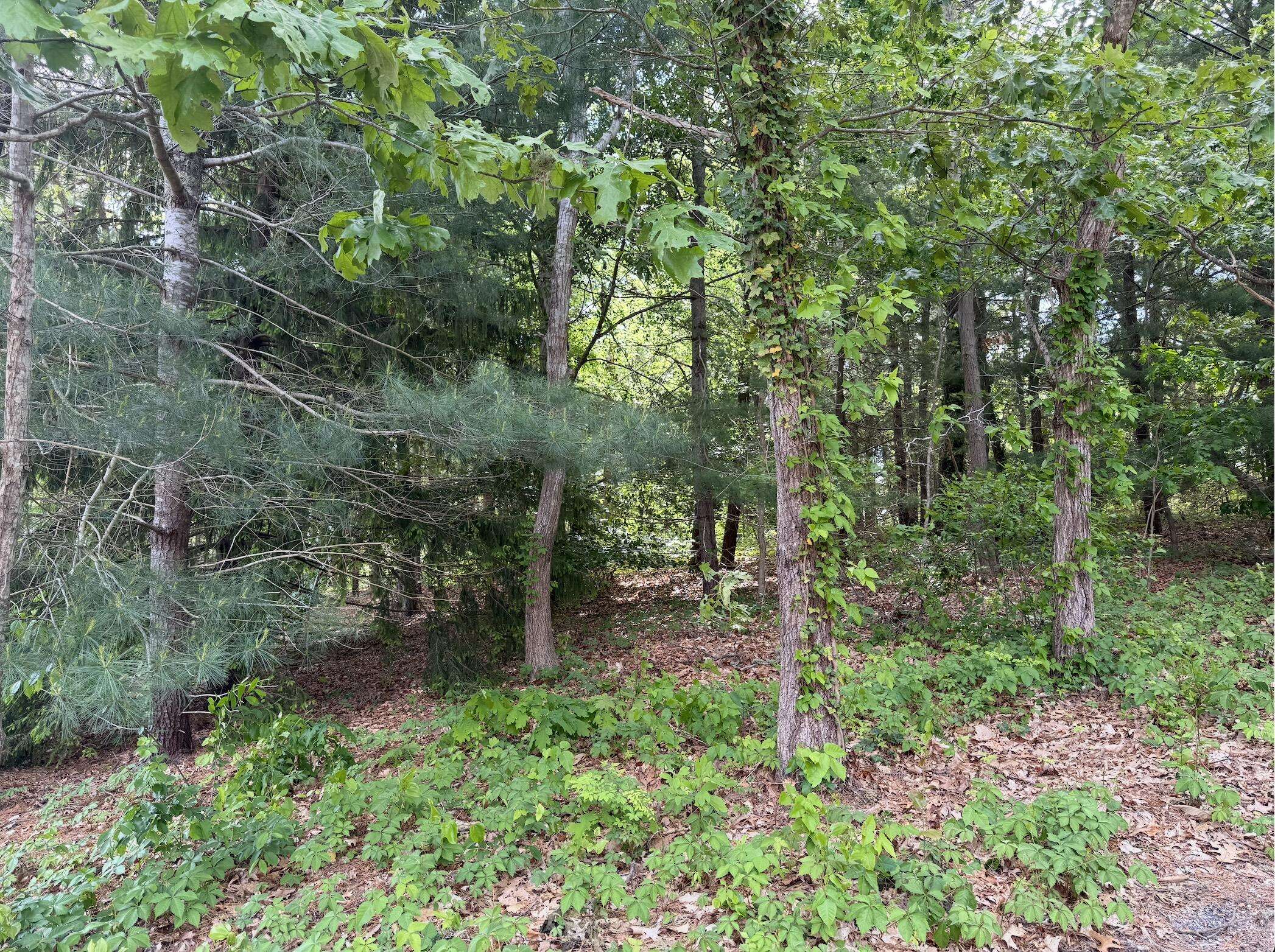 South Dennis, MA 02660,17 Fairmount Road