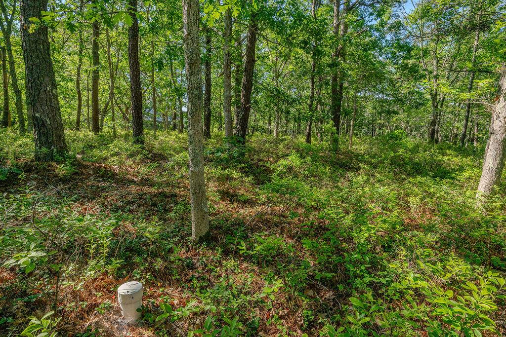 Wellfleet, MA 02667,240 Gross Hill Road