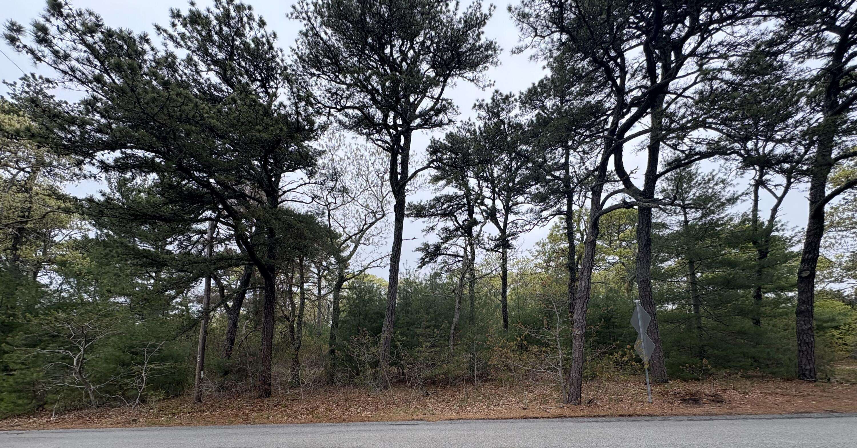 Orleans, MA 02653,2 Carolines Way
