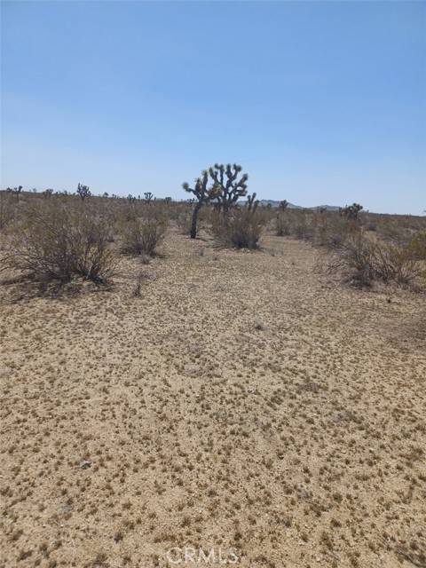 Mojave, CA 93501,0 0000