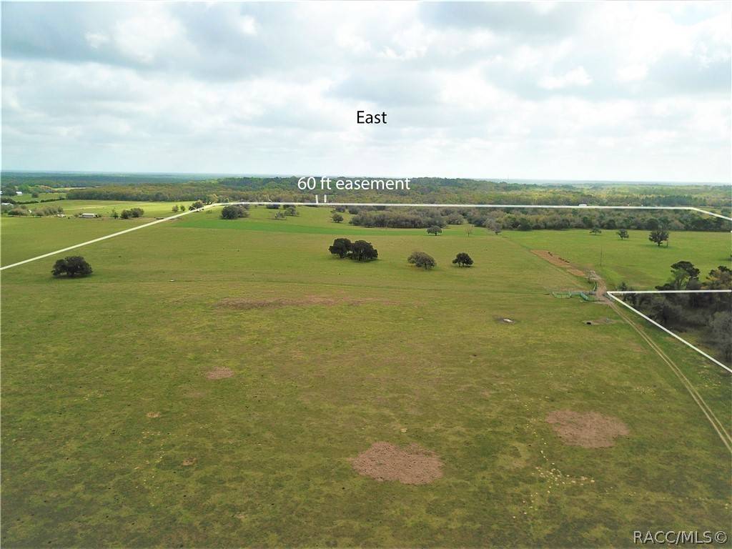 Floral City, FL 34436,12884 S Pleasant Grove RD