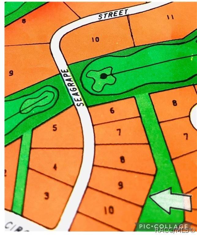 Homosassa, FL 34446,21 Seagrape ST