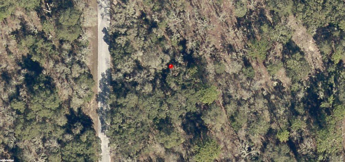 Dunnellon, FL 34431,Lot 35 SW Bamboo LN