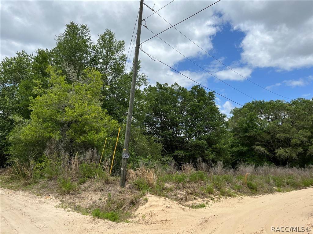 Inverness, FL 34453,2610 Van Buren ST