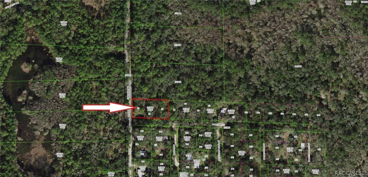 Hernando, FL 34442,5711 E Squaw CT
