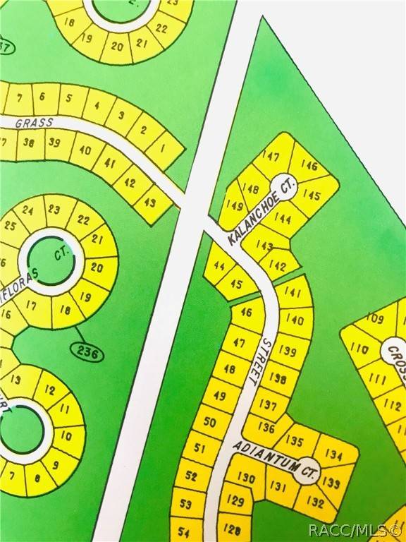 Homosassa, FL 34446,58 Grass ST