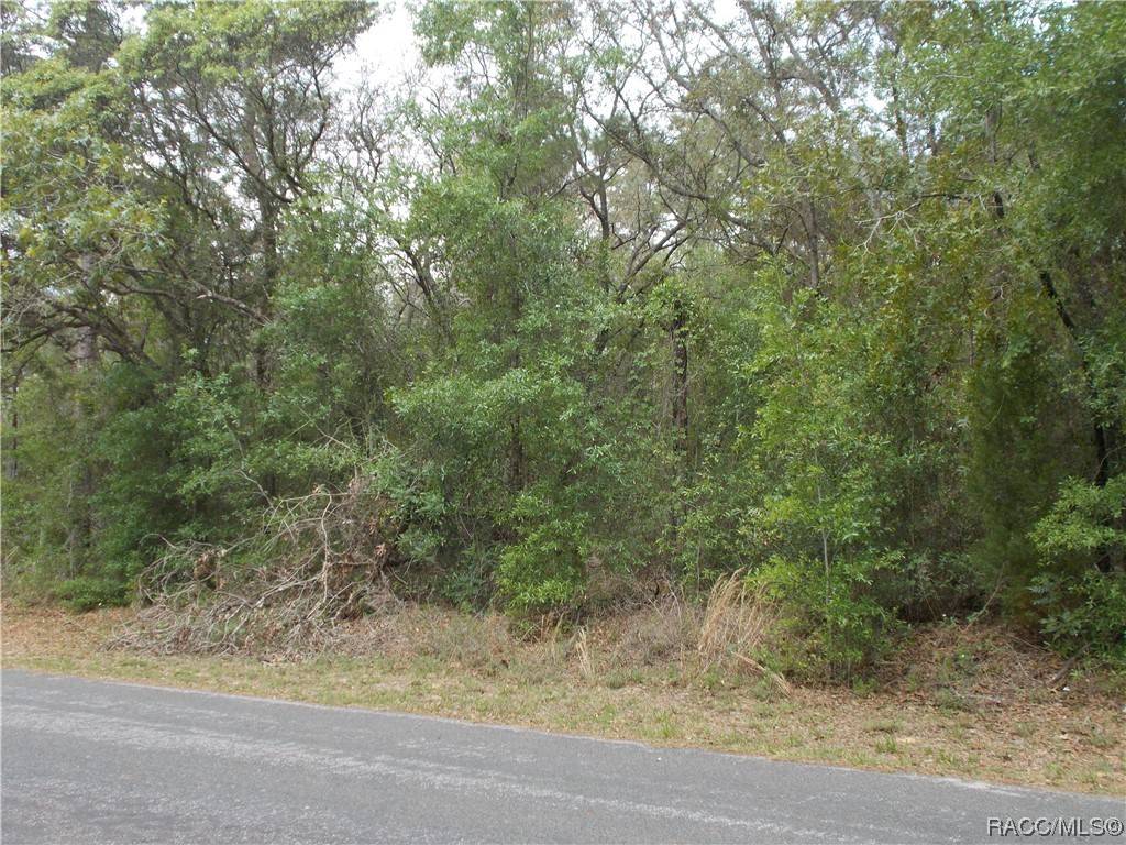 Lecanto, FL 34461,8 S EASY ST