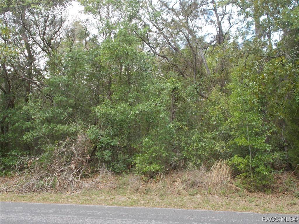 Lecanto, FL 34461,8 S EASY ST