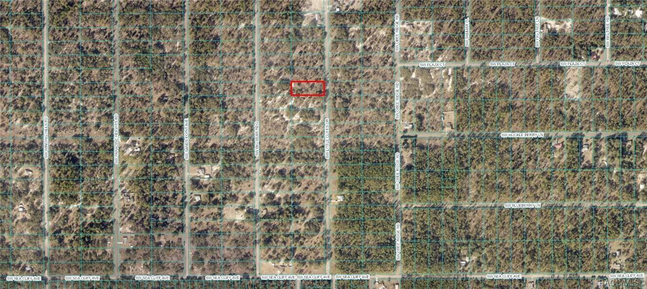 Dunnellon, FL 34431,Lot 8 SW Little Cliffs DR