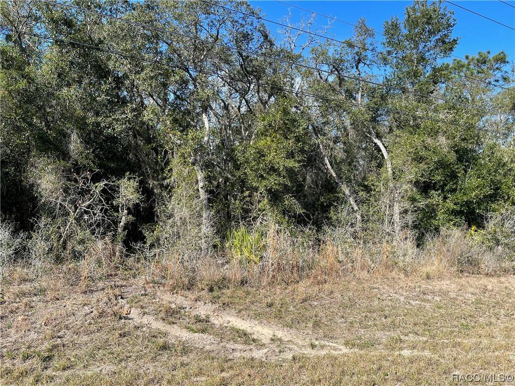 Homosassa, FL 34448,1510 S Rock Crusher RD