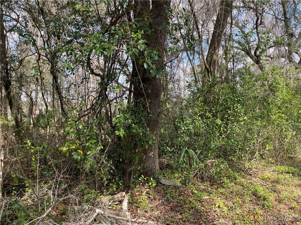 Inverness, FL 34452,4780 S Rainbow DR