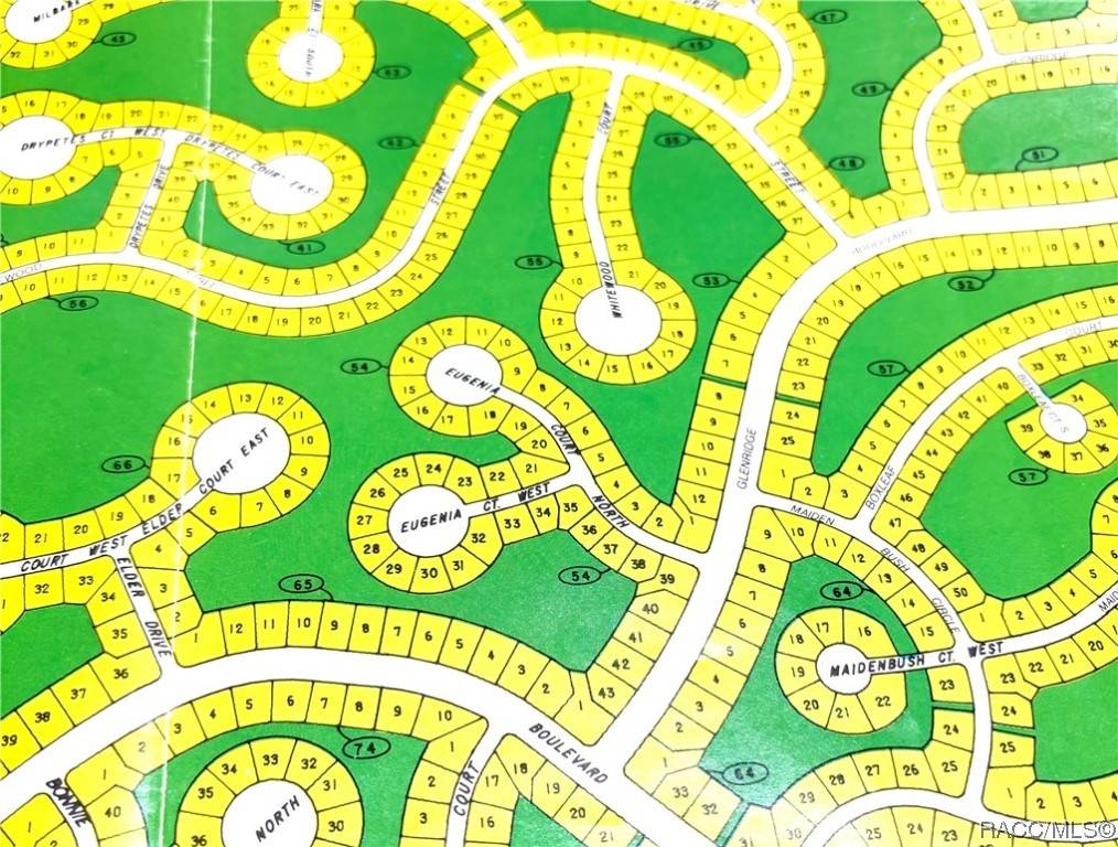 Homosassa, FL 34446,23 Eugenia CT N