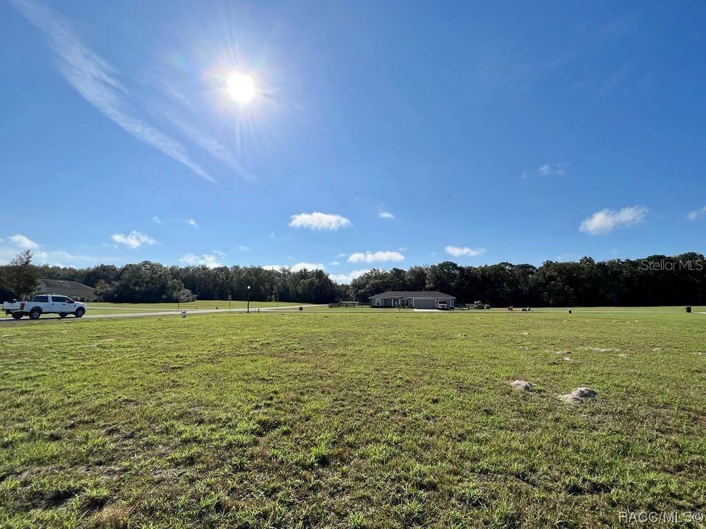 Hernando, FL 34442,219 E Dusty CT