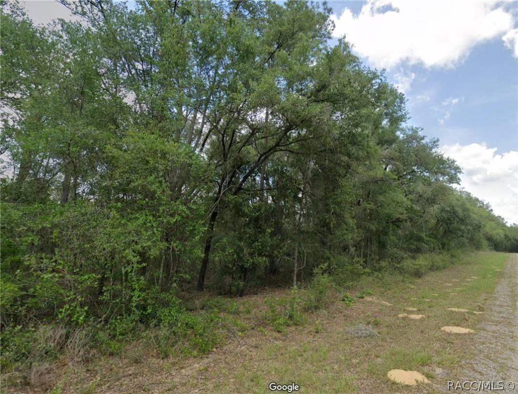 Dunnellon, FL 34434,737 E Byrd LOOP