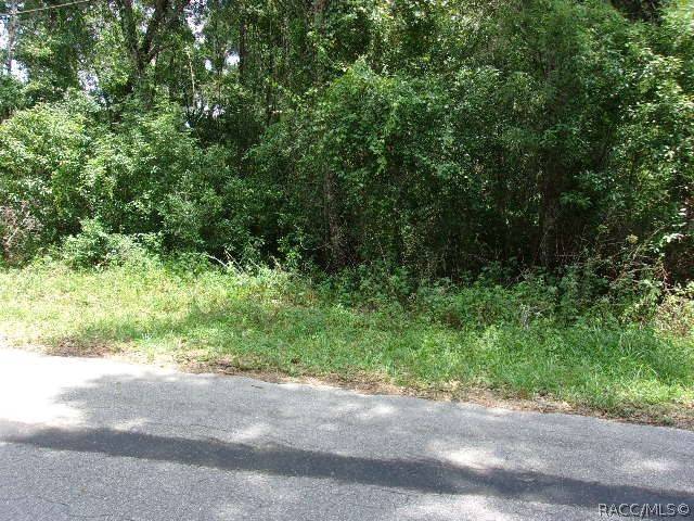 Inverness, FL 34452,4979 S Romans AVE