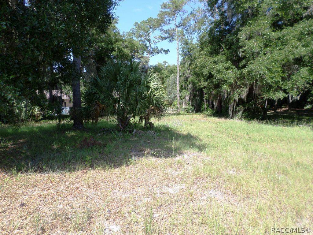 Dunnellon, FL 34432,00 Blue Heron CT