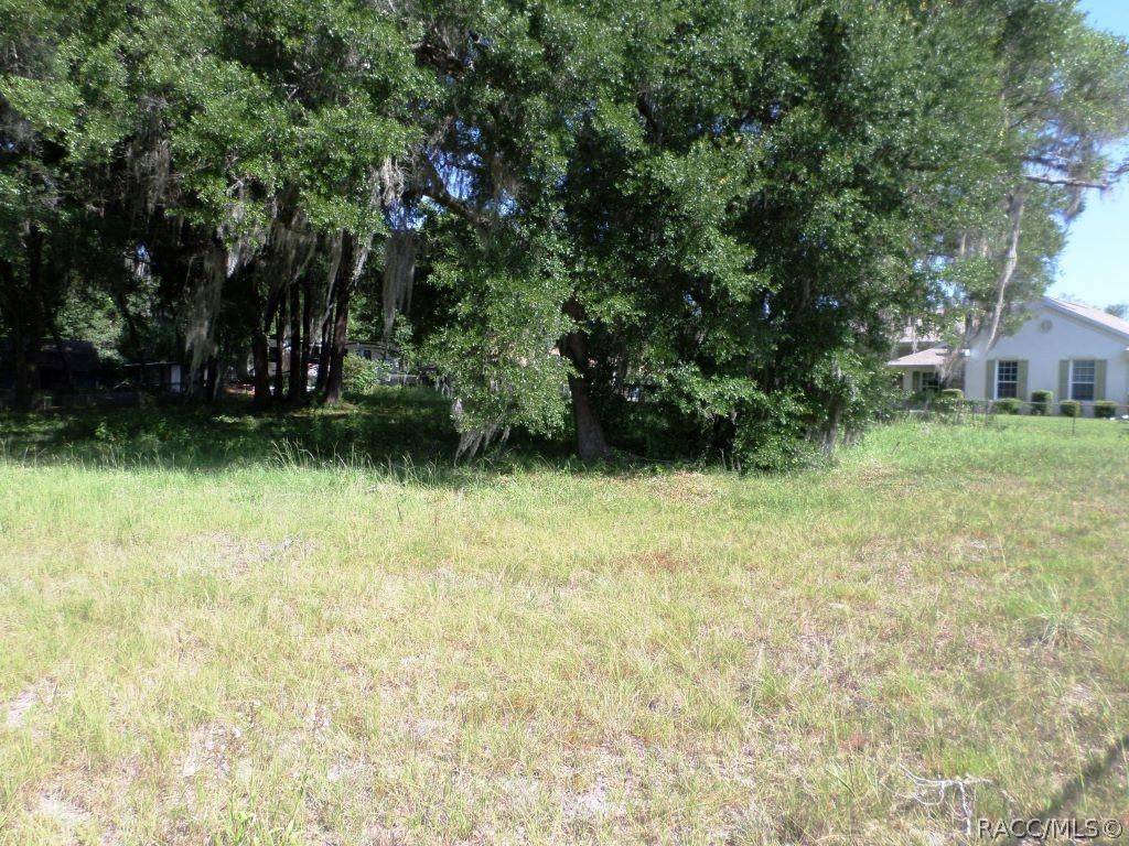 Dunnellon, FL 34432,000 Blue Heron DR