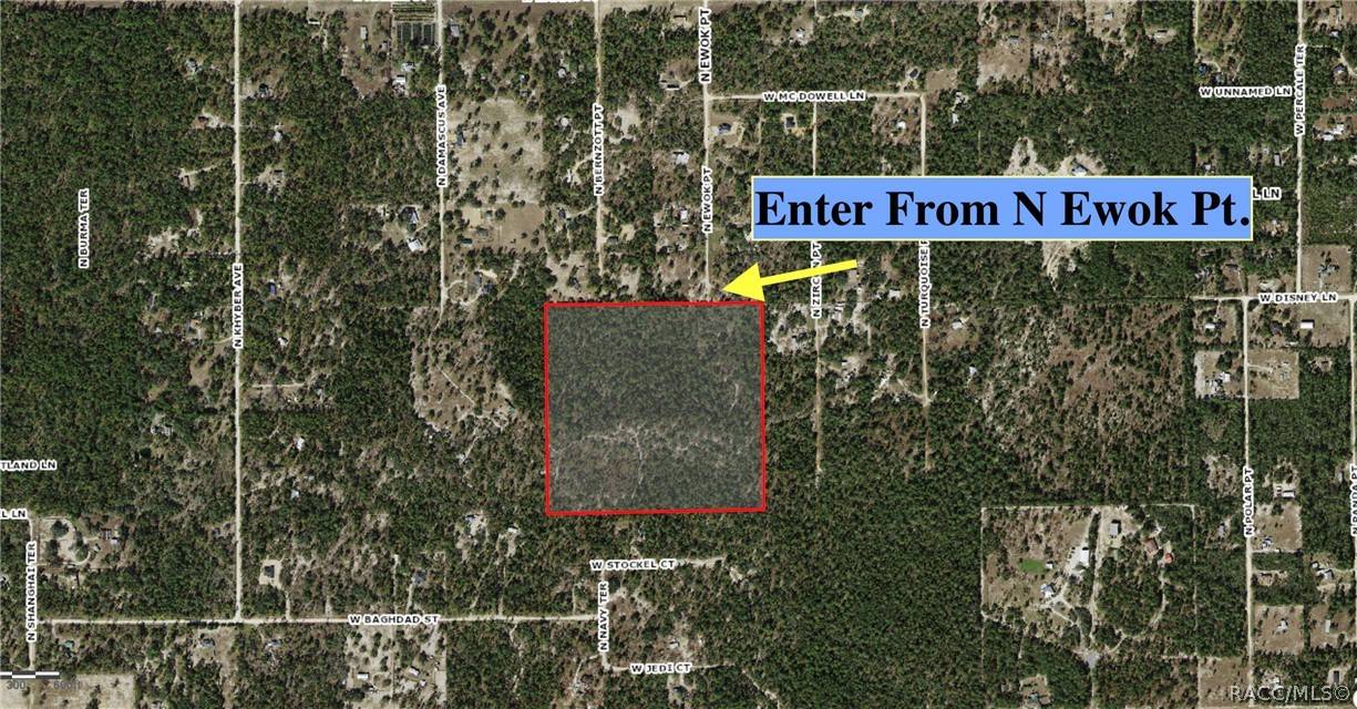 Dunnellon, FL 34433,6496 N Bernzott PT