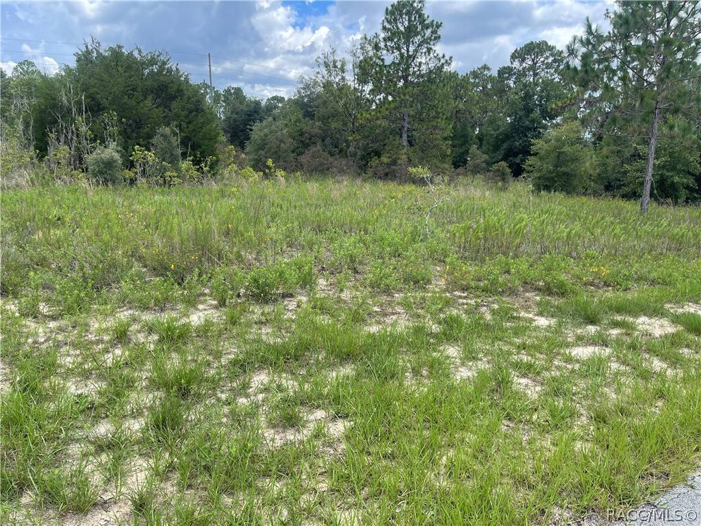 Dunnellon, FL 34433,6028 W Alessi PL