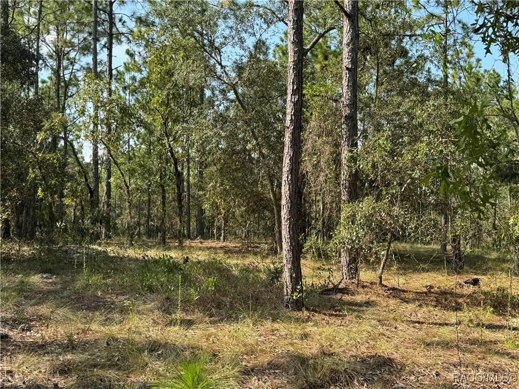 Dunnellon, FL 34431,Address not disclosed