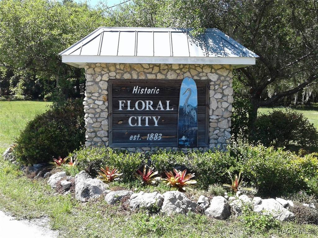 Floral City, FL 34436,8156 S Kimberly CIR