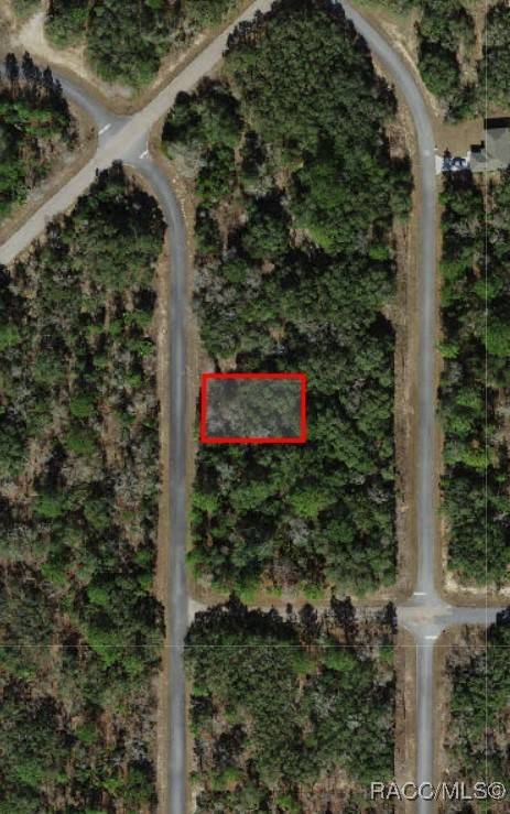 Dunnellon, FL 34434,6421 W Whispering DR