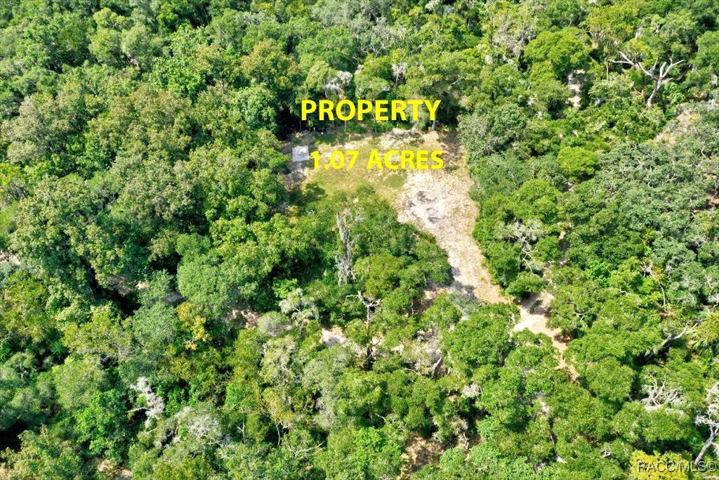 Inverness, FL 34450,10848 E Carr LN