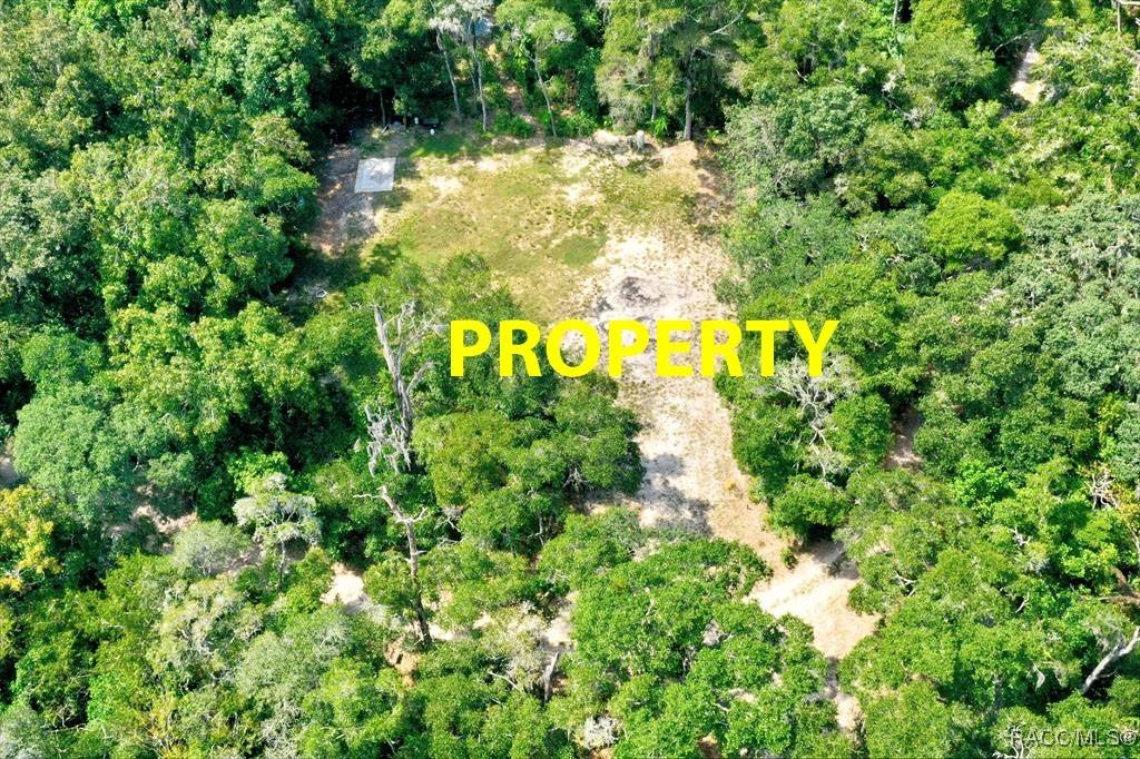 Inverness, FL 34450,10848 E Carr LN