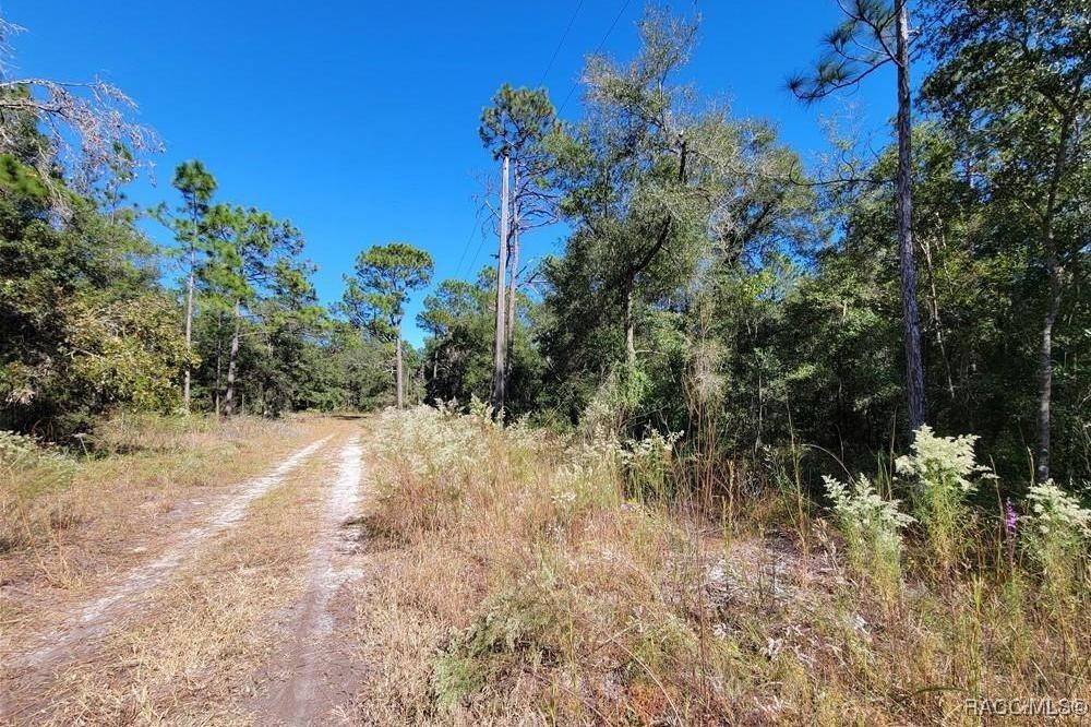 Dunnellon, FL 34433,7451 W Dunnellon RD