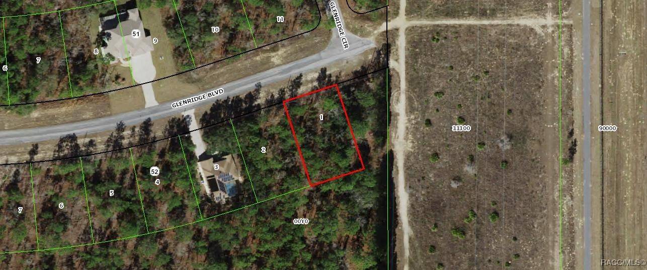 Homosassa, FL 34446,73 Glenridge BLVD