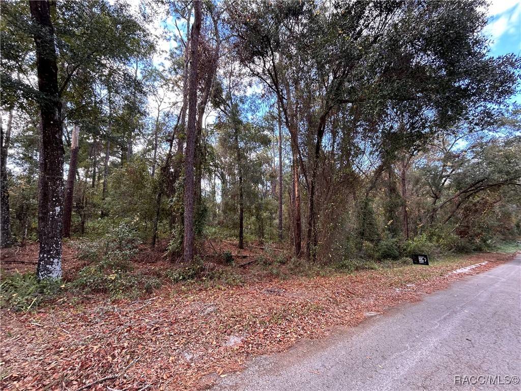 Inverness, FL 34452,3492 S Dean TER