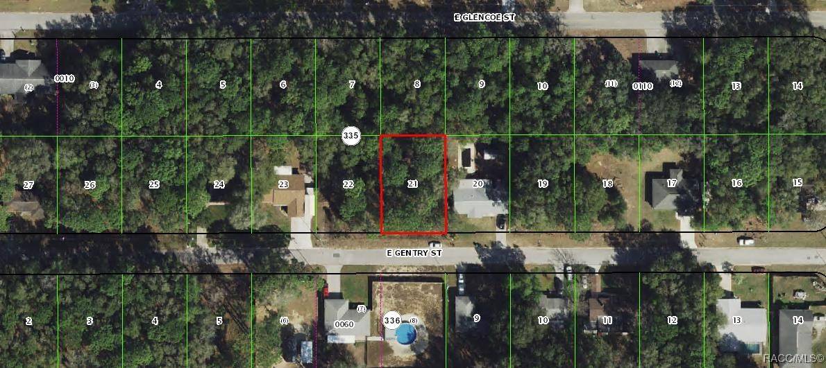 Inverness, FL 34452,6677 E Gentry ST