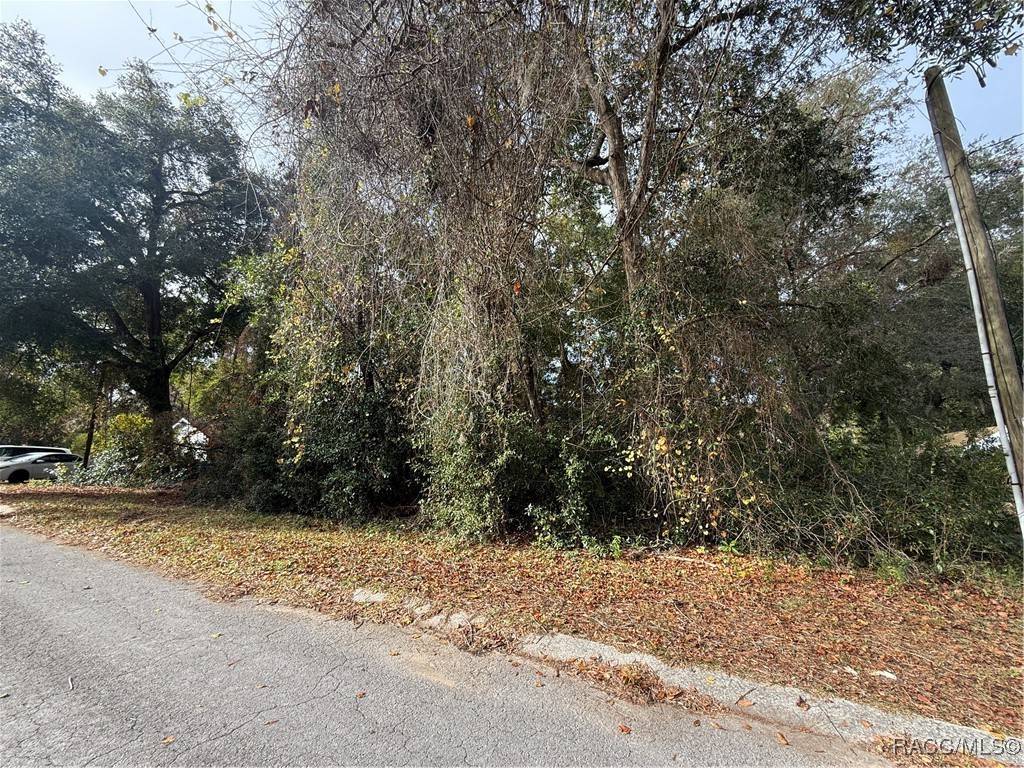 Inverness, FL 34452,3444 S Dalton TER