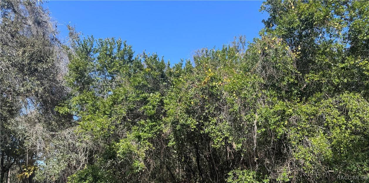 Inverness, FL 34453,1296 N Magnolia Hill WAY