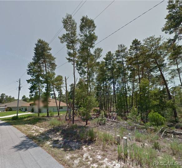 Homosassa, FL 34446,66 Grass ST