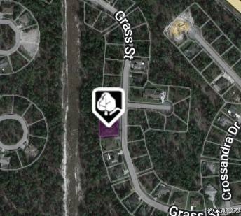 Homosassa, FL 34446,66 Grass ST