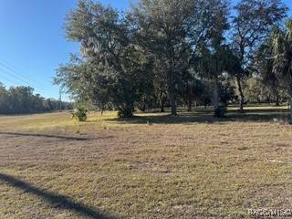 Inglis, FL 34449,20 Cove RD