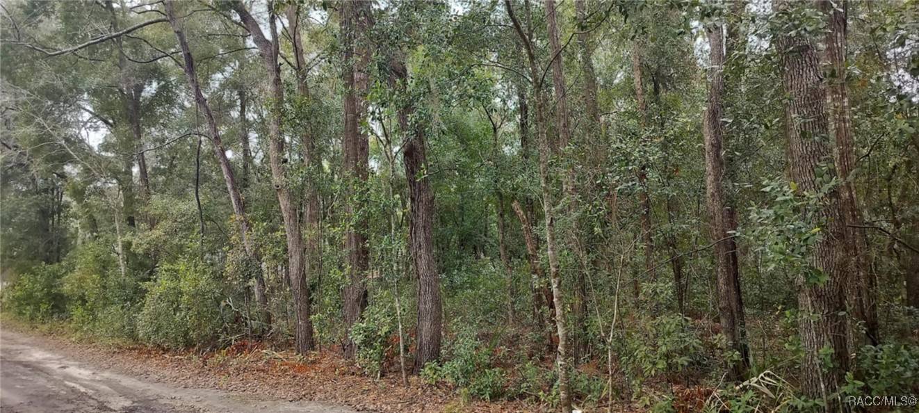 Hernando, FL 34442,1221 E Rhapsody LN