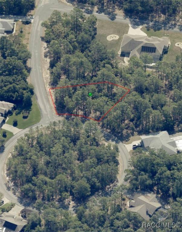 Homosassa, FL 34446,7 Drypetes CT W