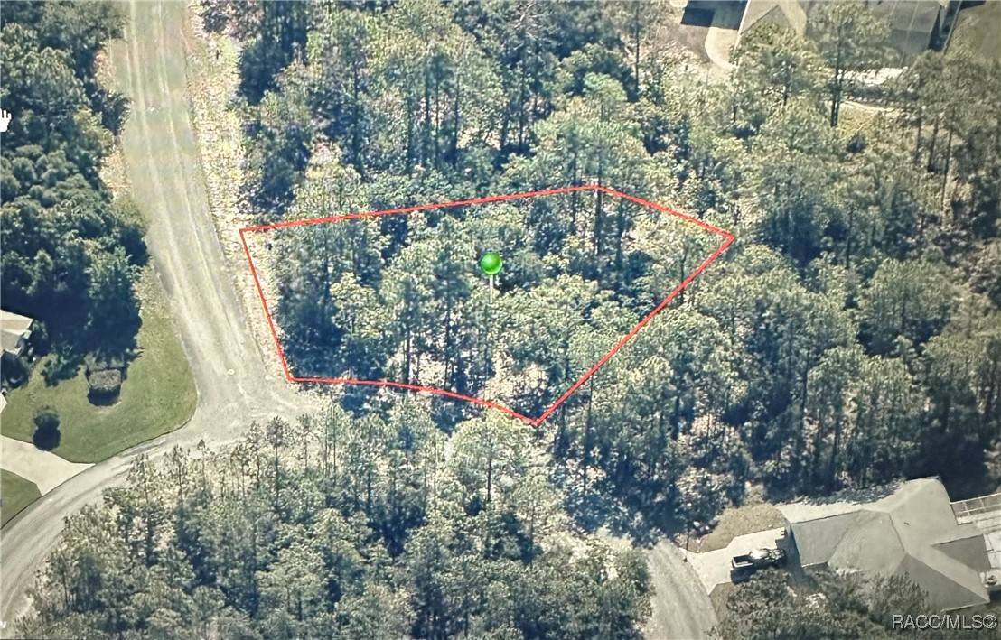 Homosassa, FL 34446,7 Drypetes CT W