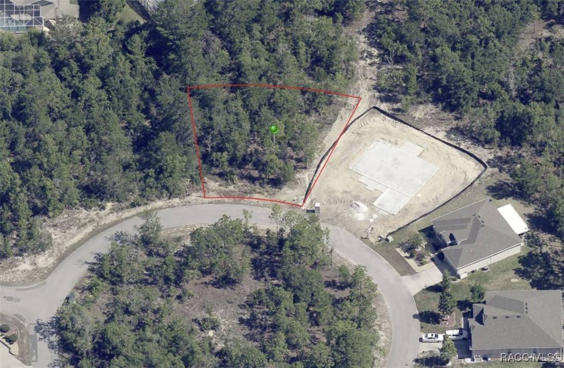 Homosassa, FL 34446,19 Rudbeckia CT