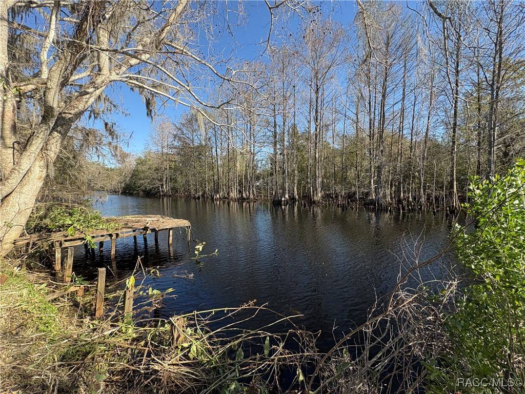 Floral City, FL 34436,10500 E Gobbler DR