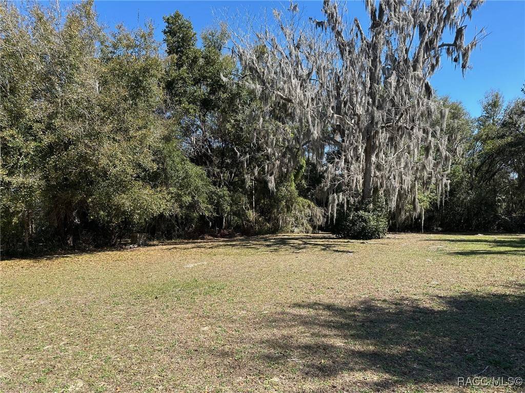 Inverness, FL 34450,116 Dr Martin Luther King Jr AVE