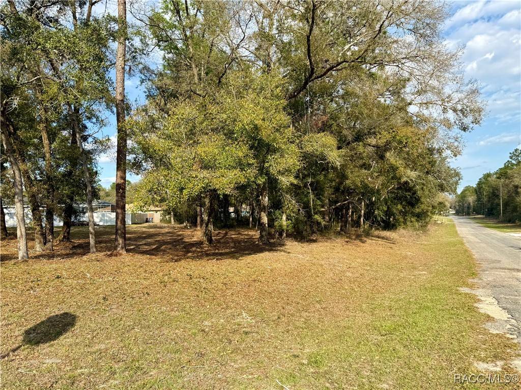 Dunnellon, FL 34434,151 W Reef LN