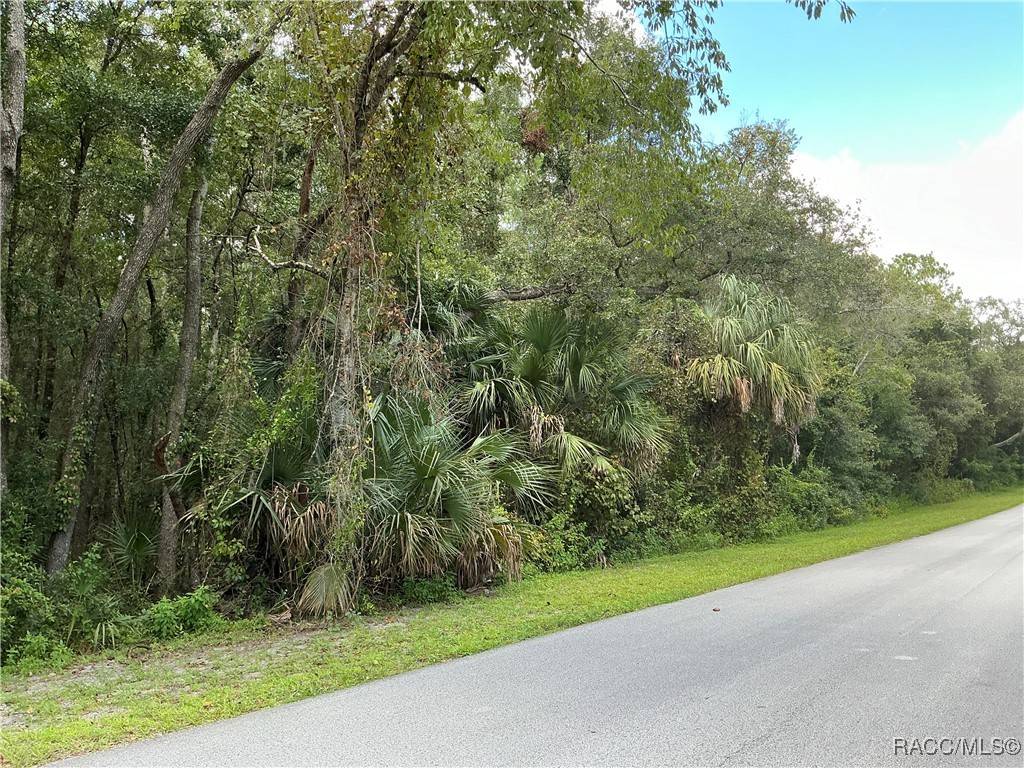 Lecanto, FL 34461,58 N Bauer RD