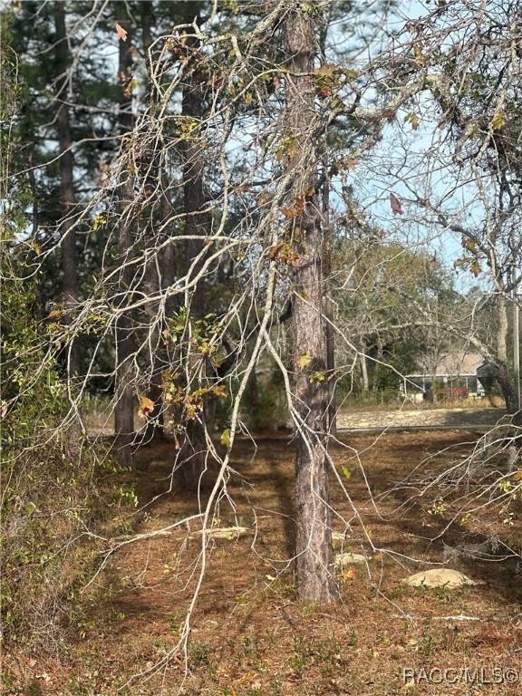 Homosassa, FL 34446,2 Barkwood PT